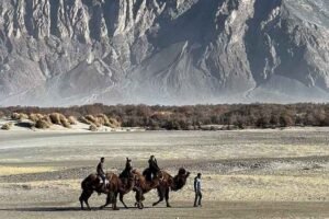 7 Days Leh Ladakh Trip with Turtuk Day 3 at Nubra Valley