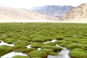 Leh Ladakh Trip with Hanle Day 7