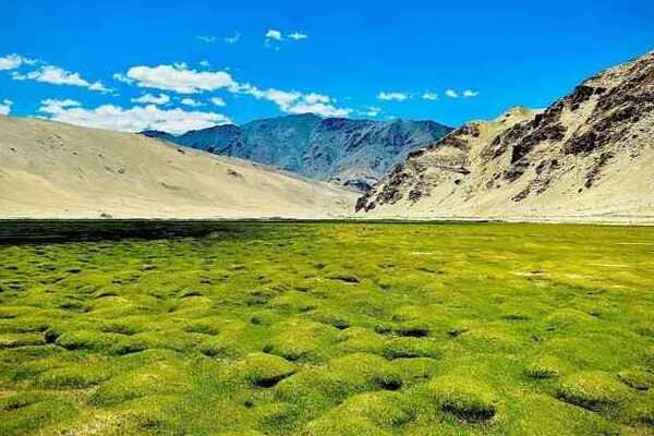 Puga Valley near Tsokar Lake